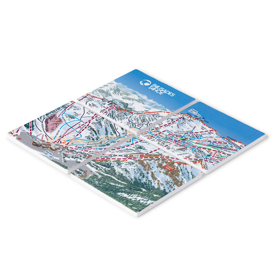 Palisades Tahoe Ski Map Coaster 4 pc