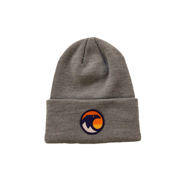 PALISADES TAHOE SIGNATURE BEANIE 21-22 BY COAL HEADWEAR